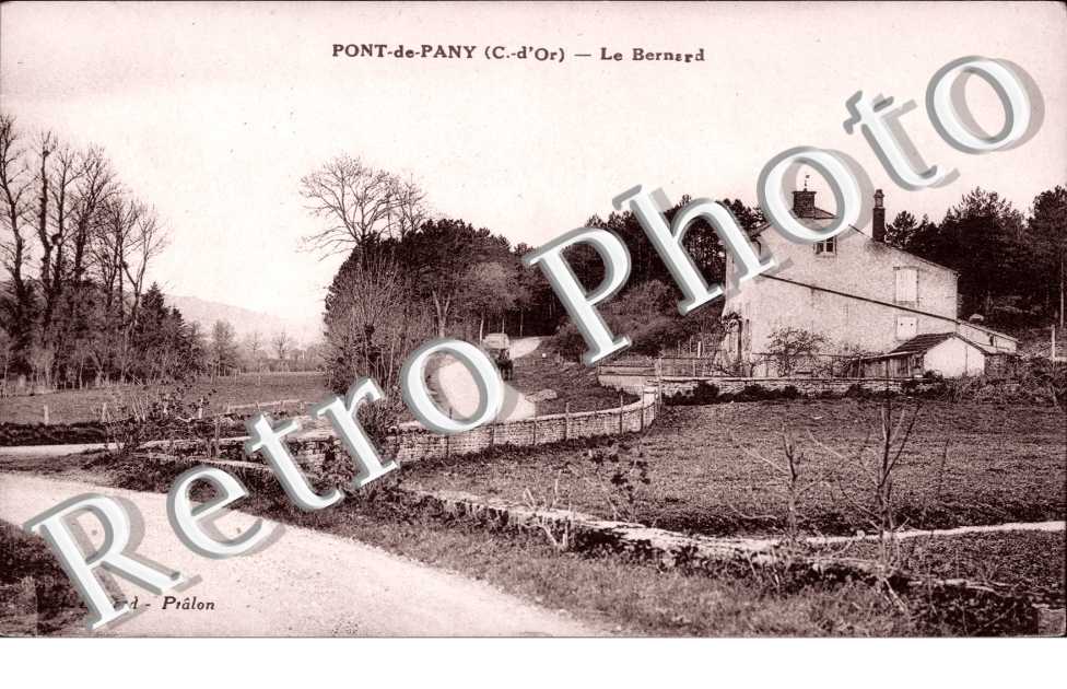 le bernard