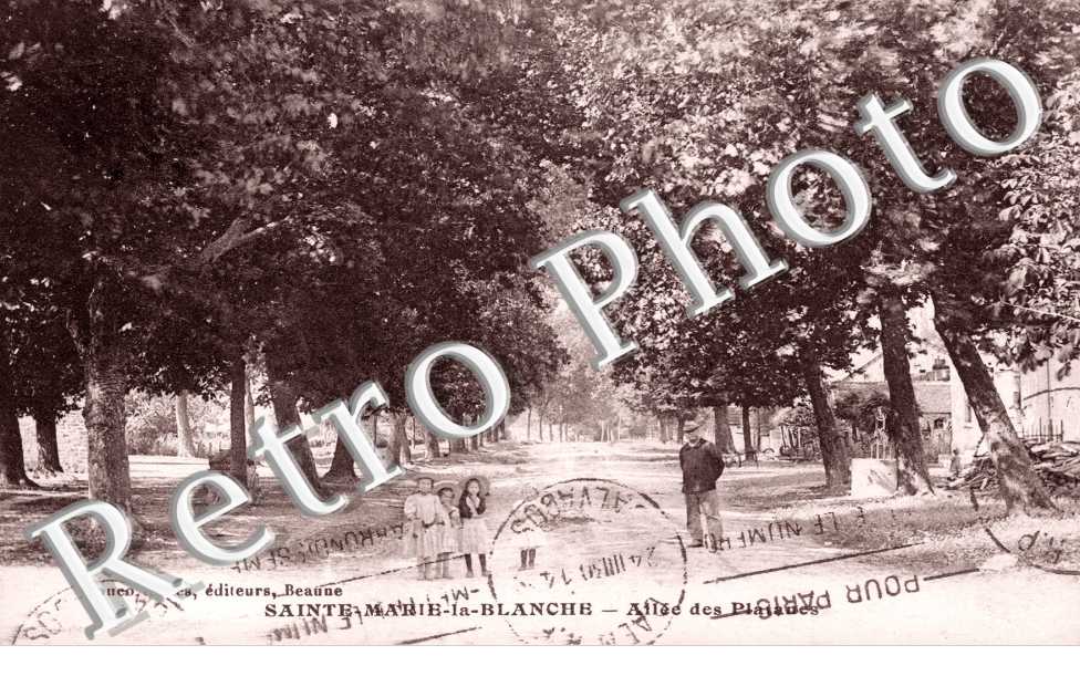 Allee des Platanes