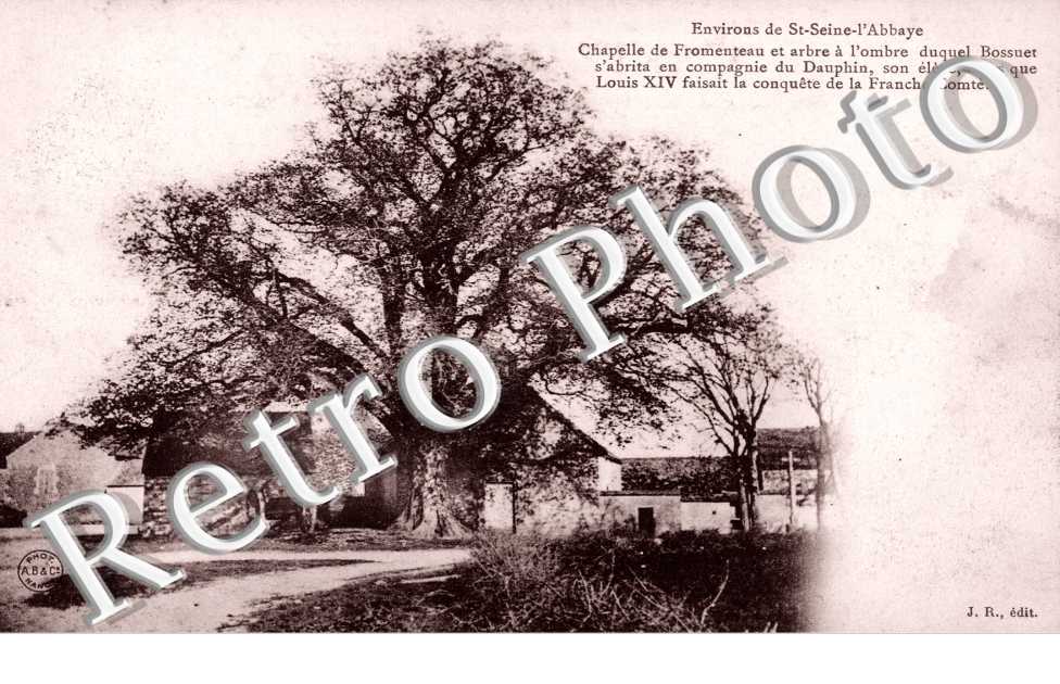 chapelle de Fromenteau et arbre a l'ombre duquel Bossuet s'abrita 