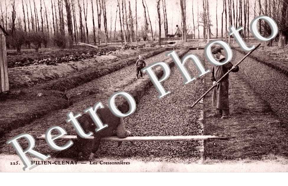 les cressonnieres