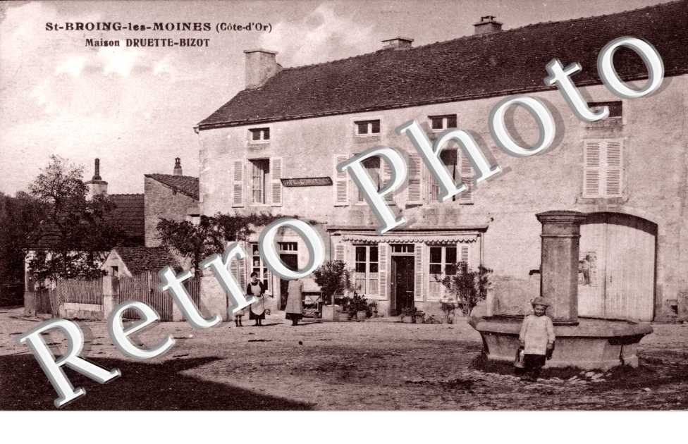maison druette bizot