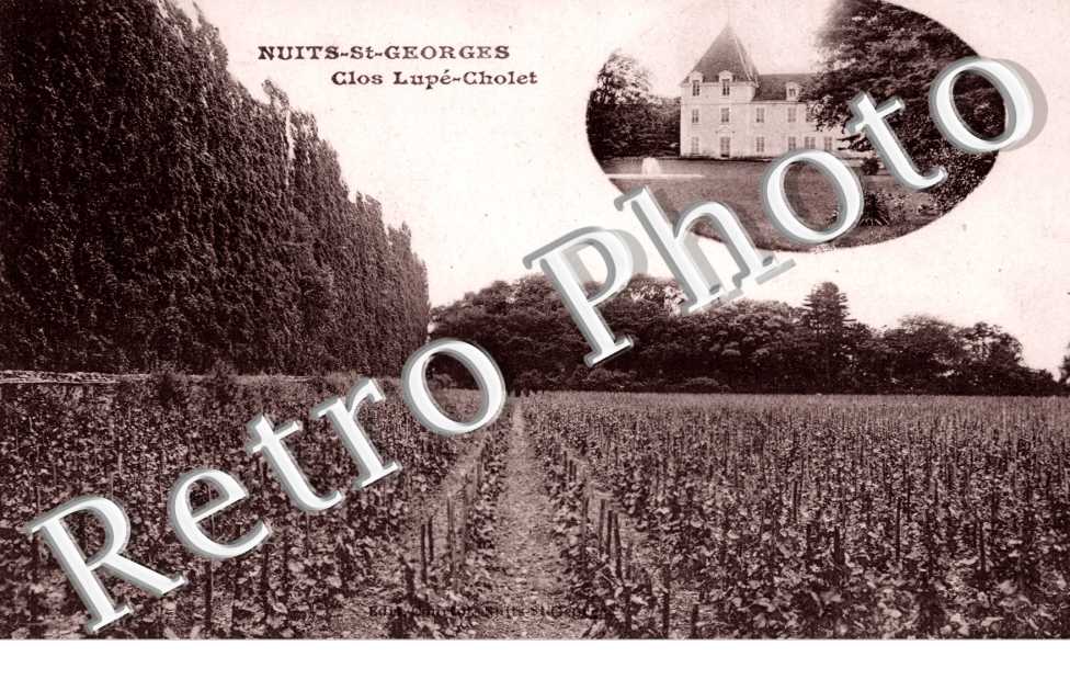 Clos Lupe-Cholet