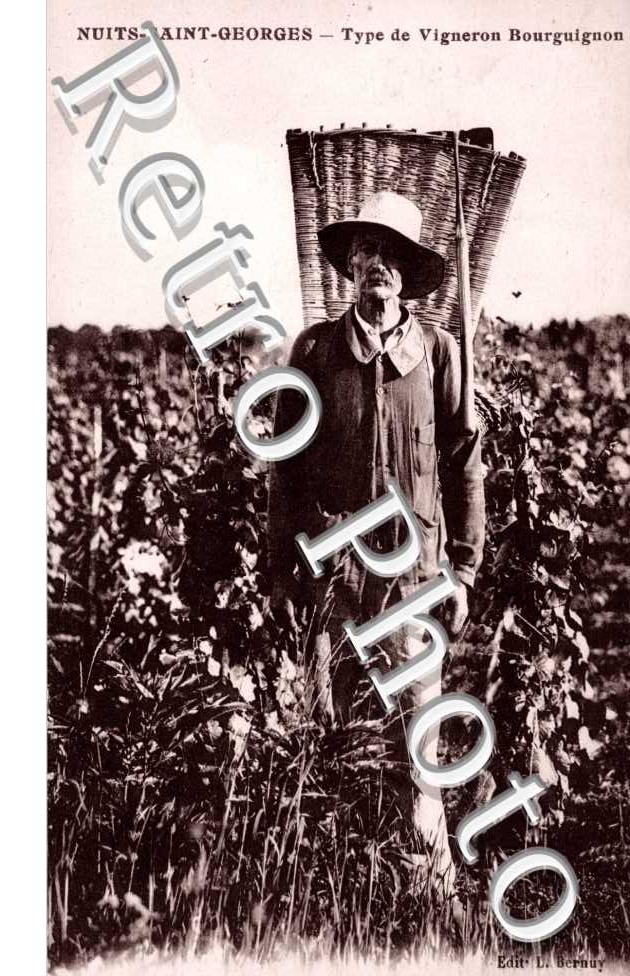 Type de Vigneron Bourguignon