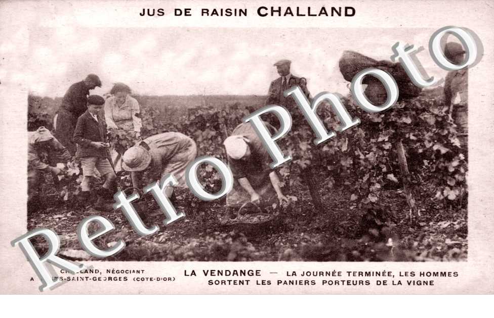 Les Vendanges, Jus de Raisin Challand