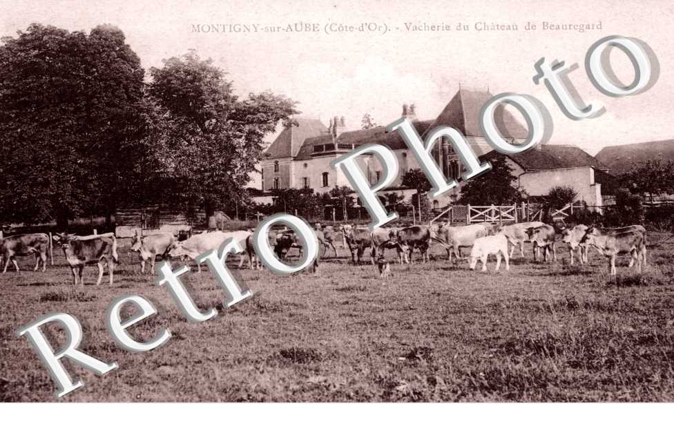 Vacherie du Chateau de Beauregard