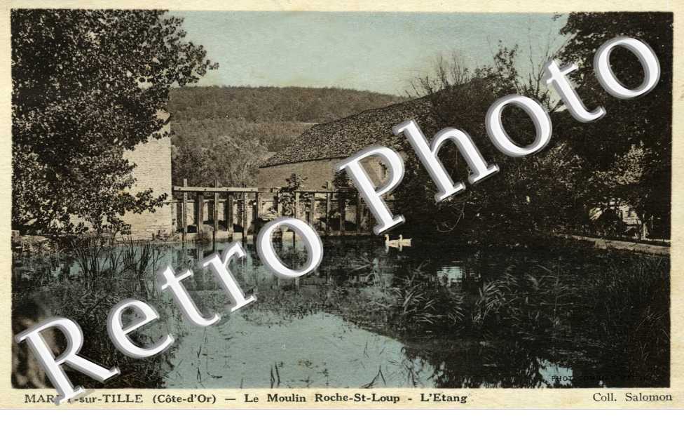 le moulin Roche-Saint Loup, l'etang