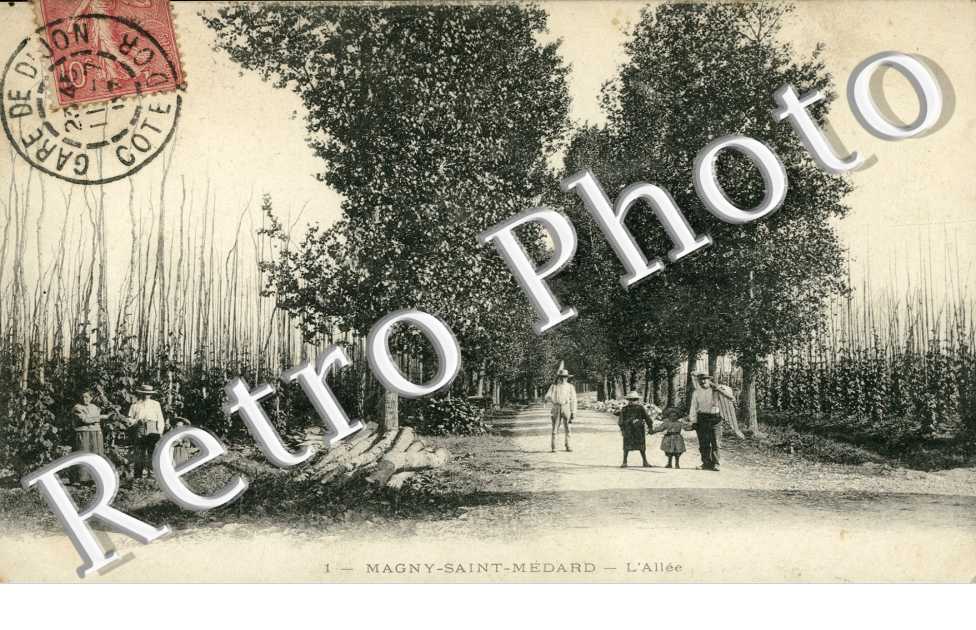 L'Allee