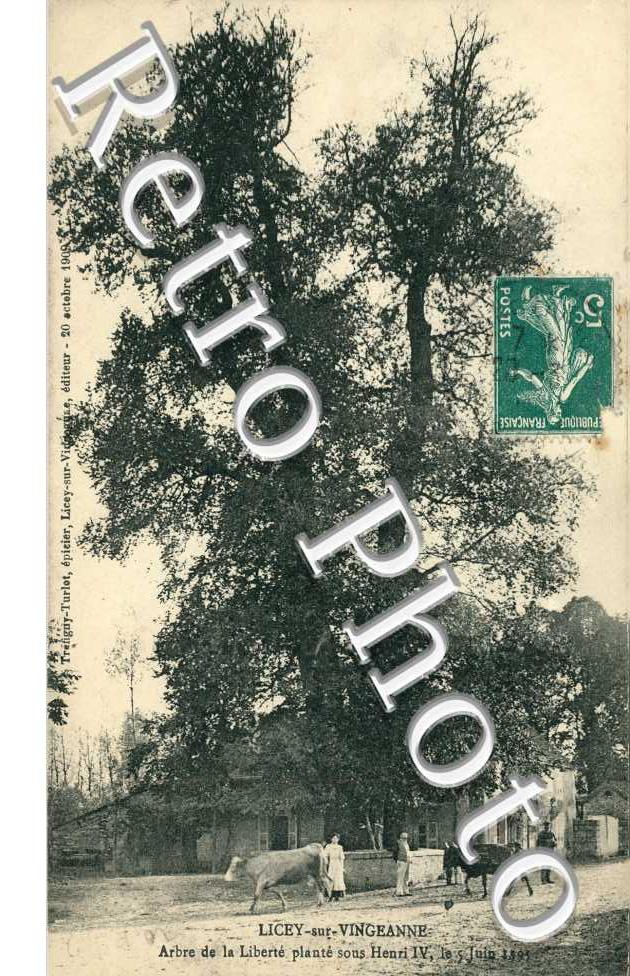 arbre de la liberte plante sous Henri IV (5 juin 1595)