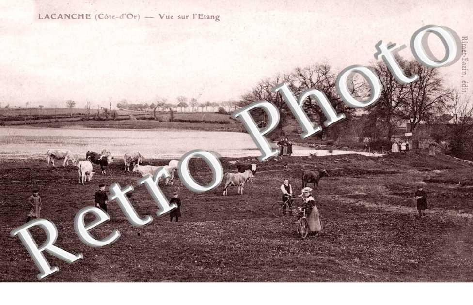 Vue sur l'Etang
