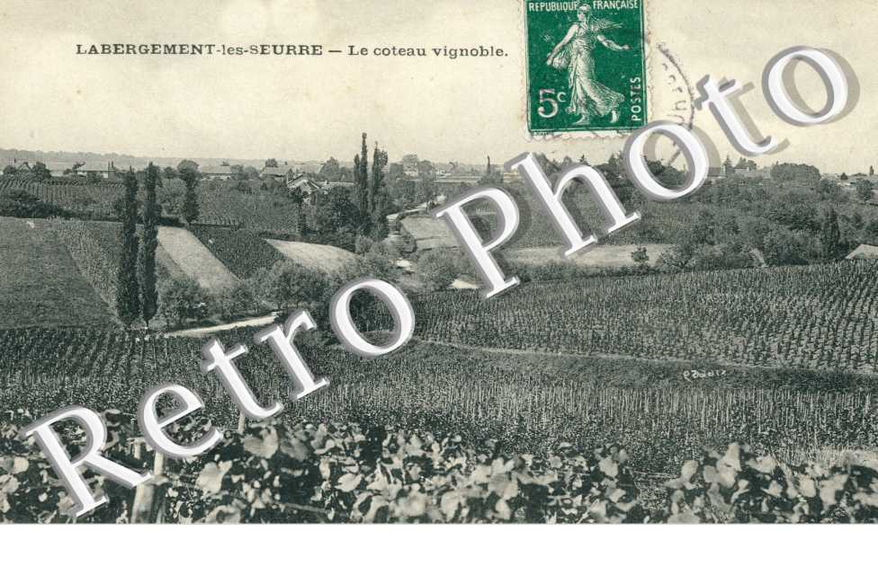 Le Coteau Vignoble