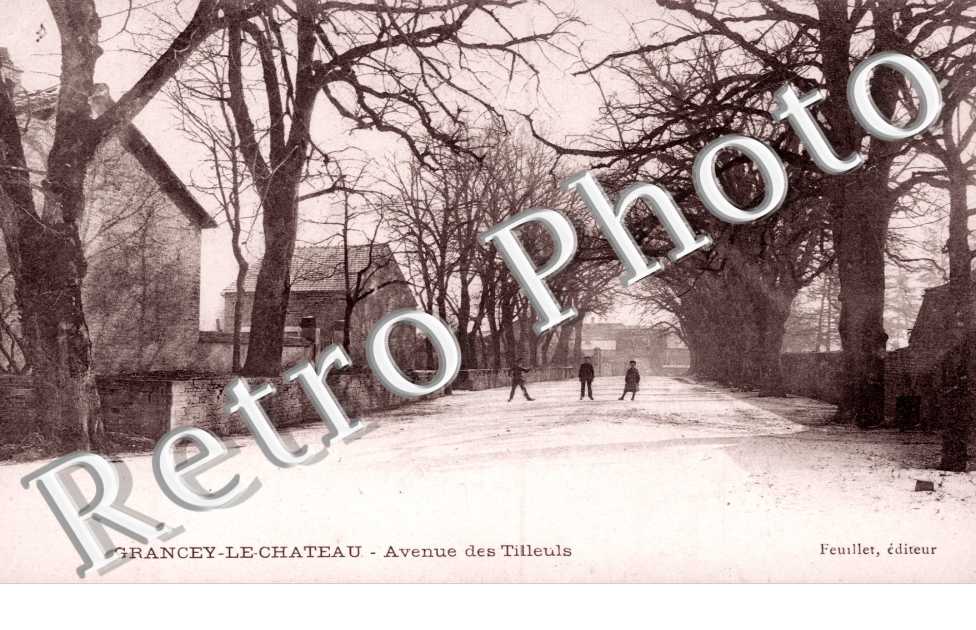 Avenue des Tilleuls