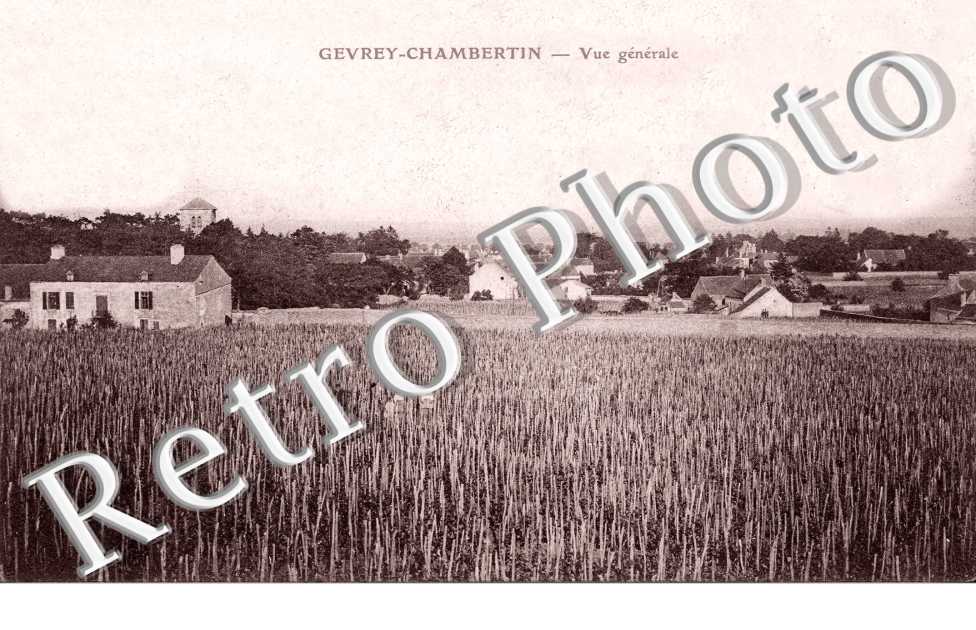 Vue Generale
