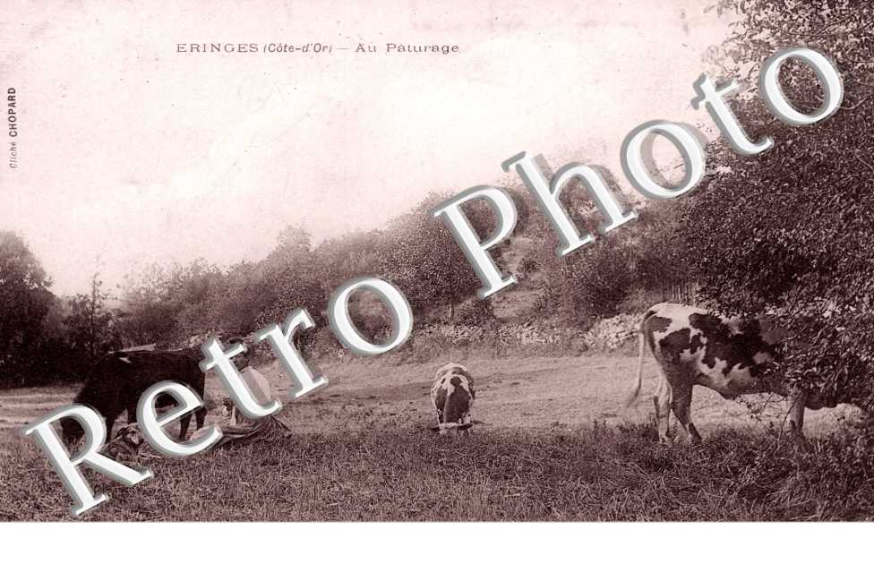 Au Paturage