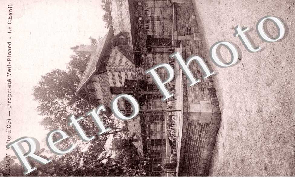 Propriete Vieil Picard - Le Chenil