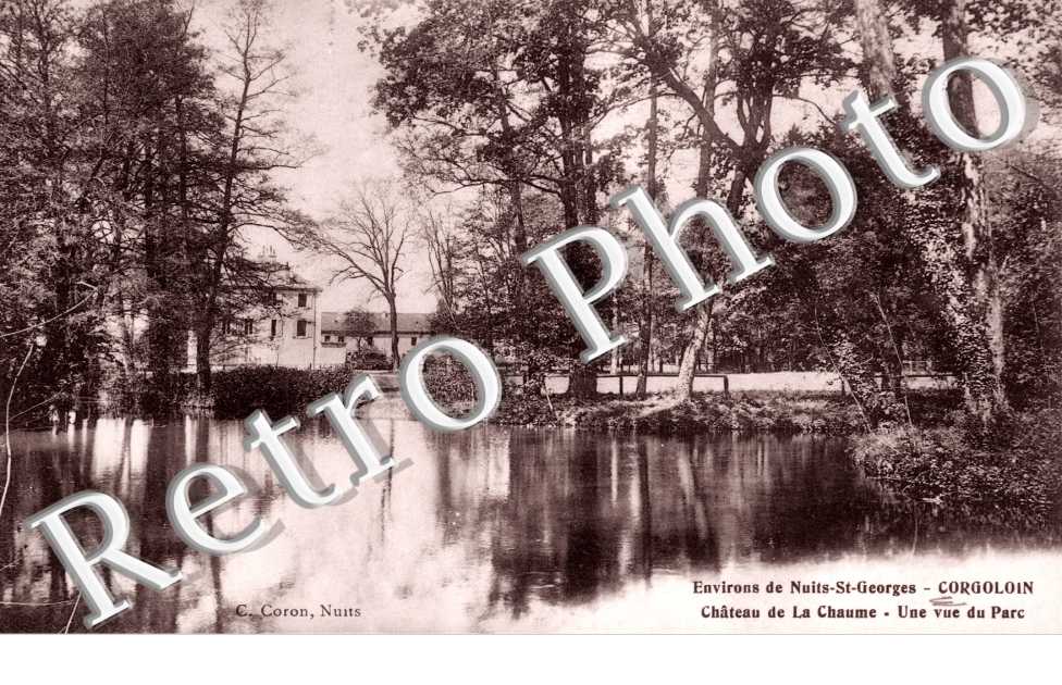 Chateau de Chaume - une vue du parc