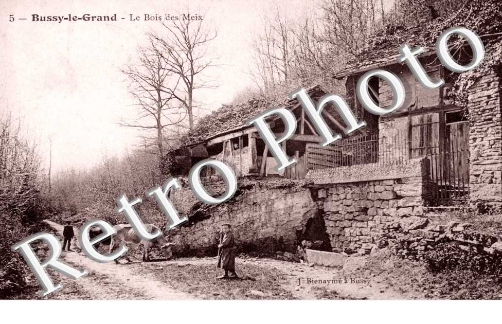 Le Bois des Meix