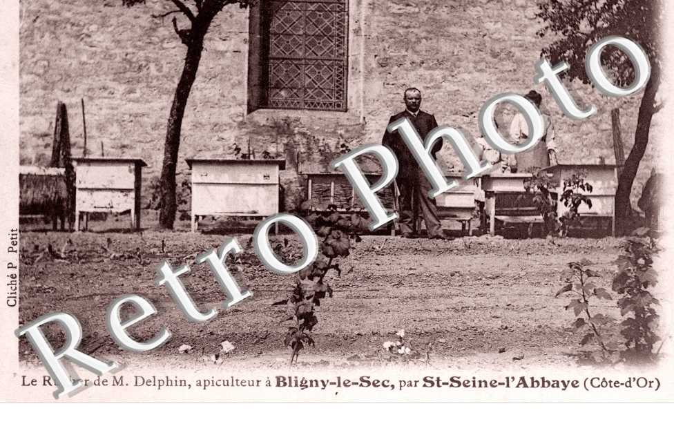 Le rucher de M. Delphin, apiculteur