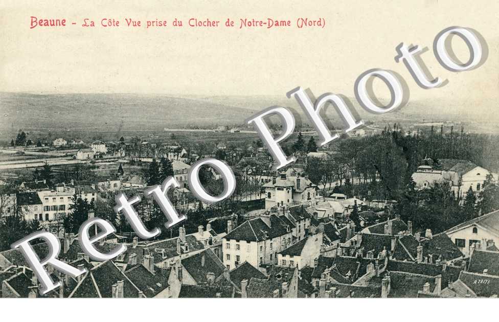 vue prise du Clocher de Notre Dame