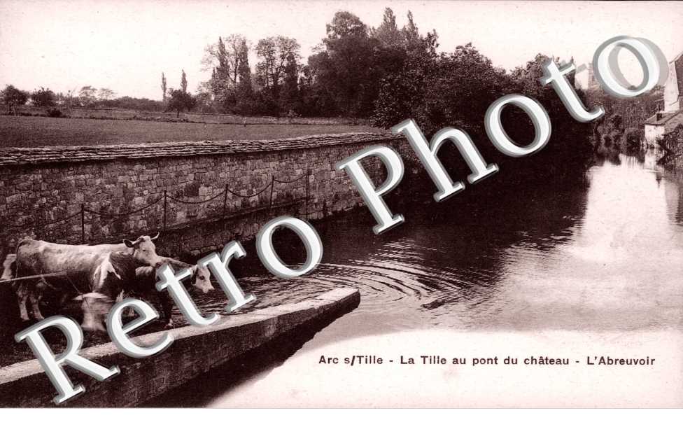 La Tille au pont du chateau