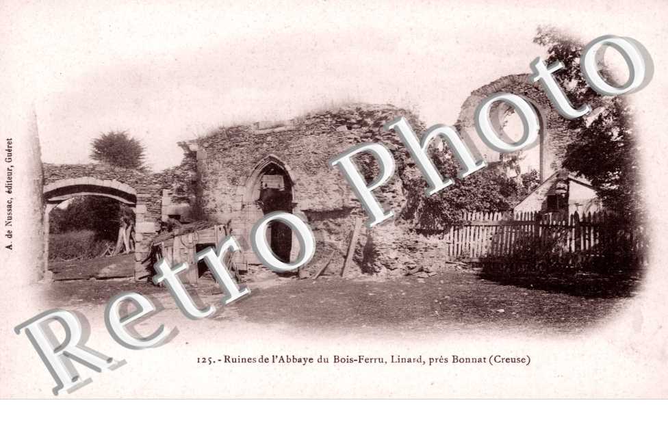 Ruines de l'Abbaye du Bois Ferru