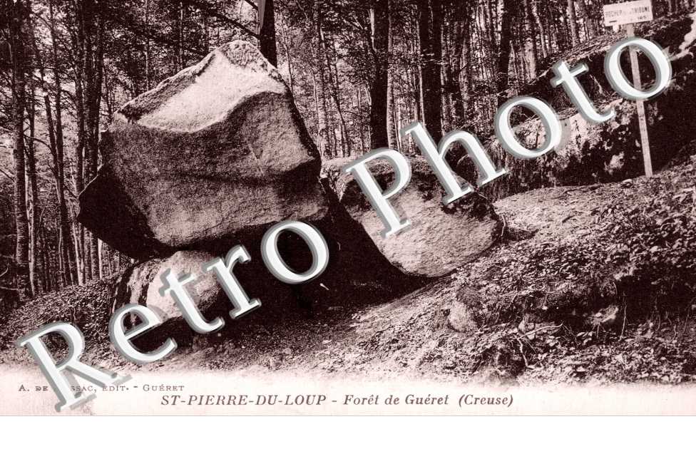 Saint Pierre du Loup -Foret de Gueret