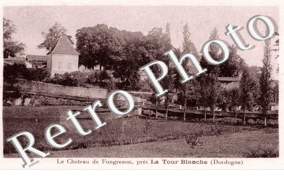 Chateau de Fongreaon