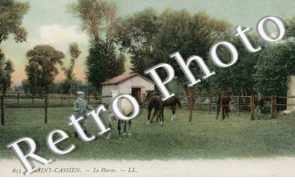 Le Haras