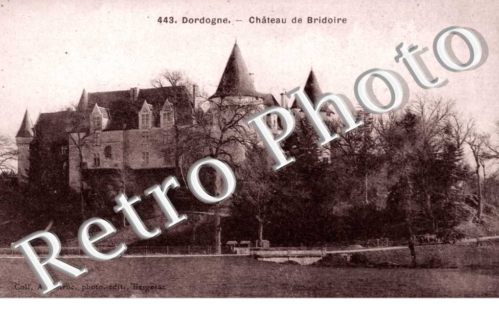 Chateau de Bridoire