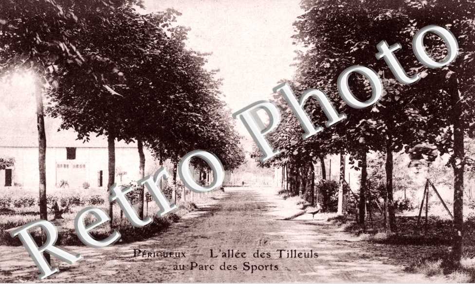 l'Allee des Tilleuls au Parc des Sports
