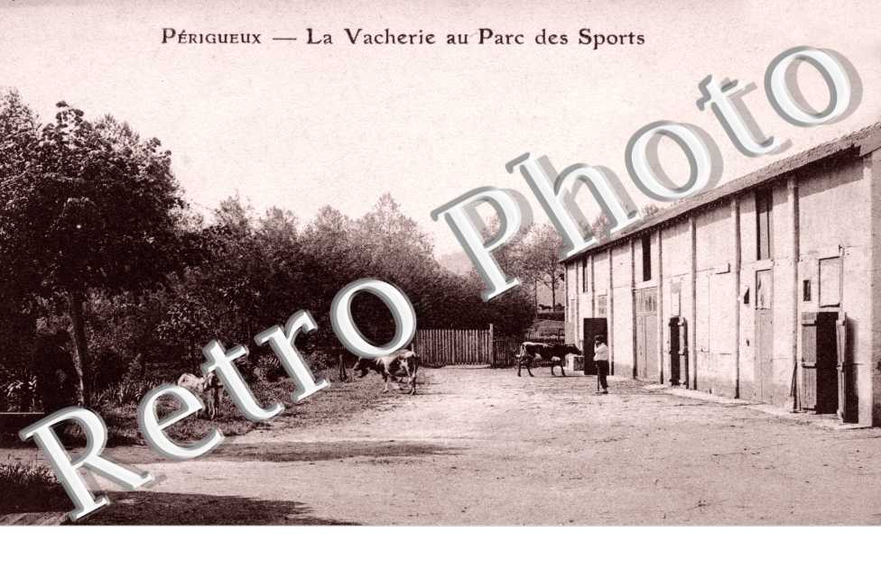 la Vacherie au parc des sports