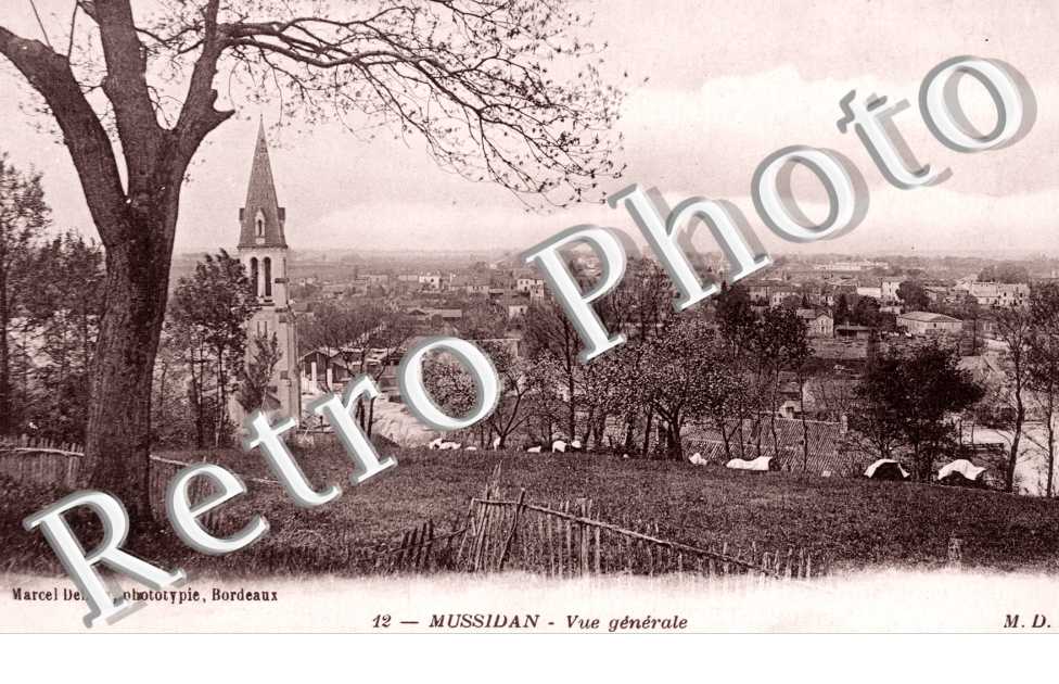 Vue Generale