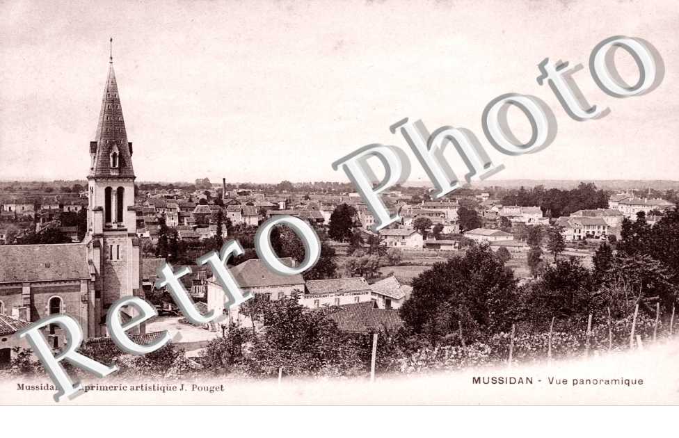 Vue Panoramique