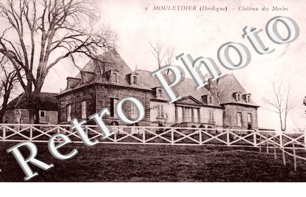 Chateau des Merles