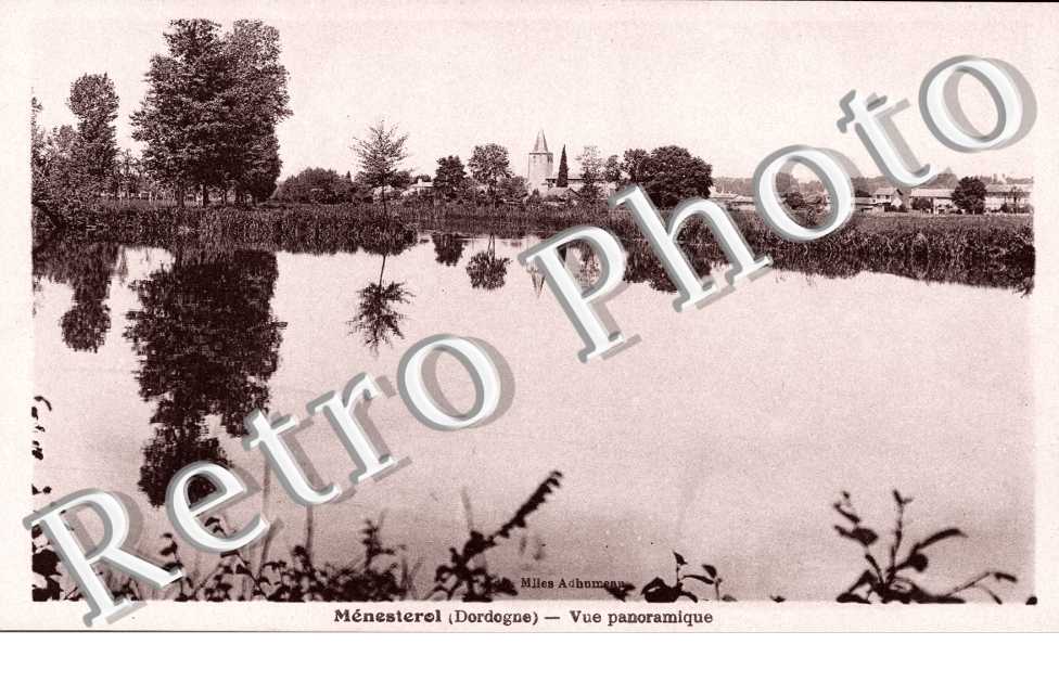Vue Panoramique