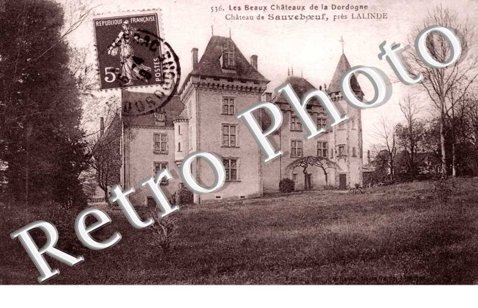 chateau  de sauveboeuf