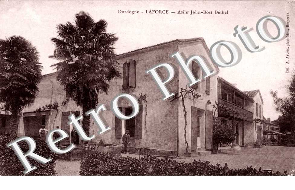 Asile J. Bost