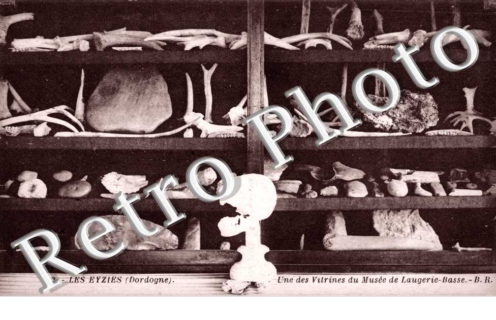 une des vitrines du muses de Laugerie Basse