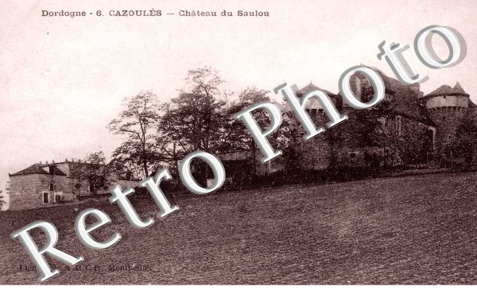 Chateau du Saulou