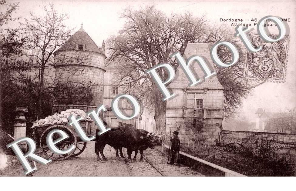 attelage Perigourdin