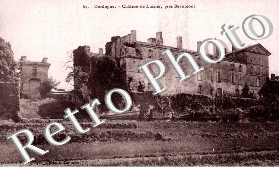 Chateau de Luizier