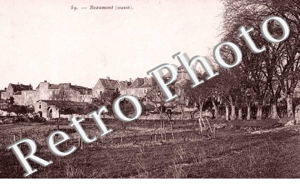 (vue generale)