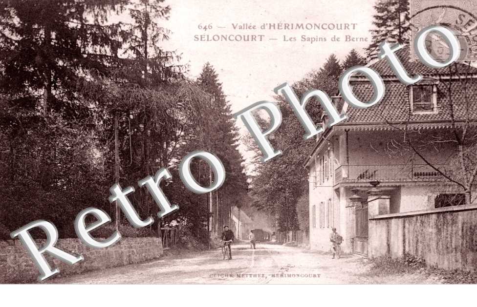 les Sapins de Berne