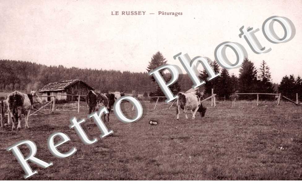 Paturages