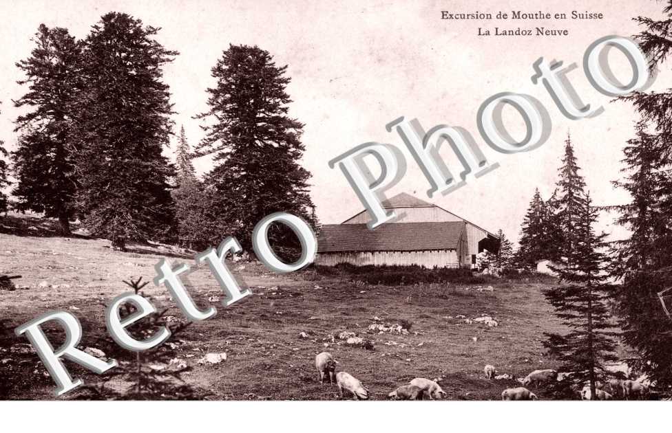 la Landoz Neuve