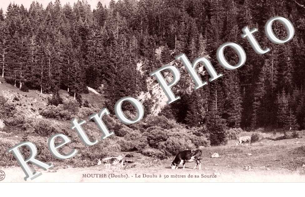 le Doubs a 50 metres de sa source