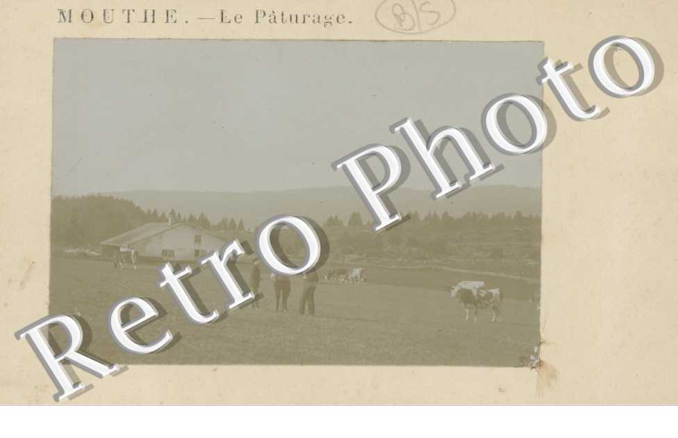 le Paturage