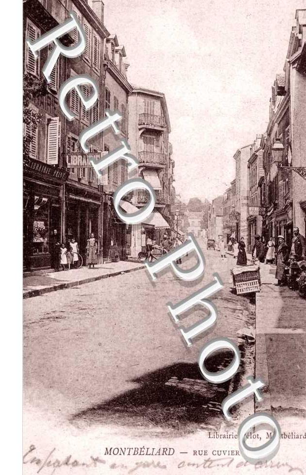 Rue Cuvier