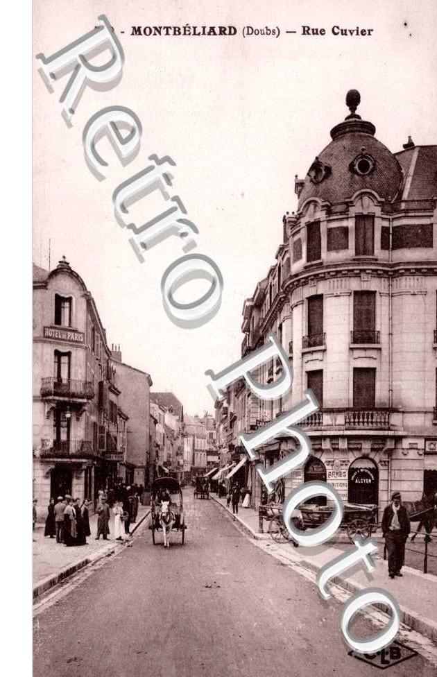 rue cuvier