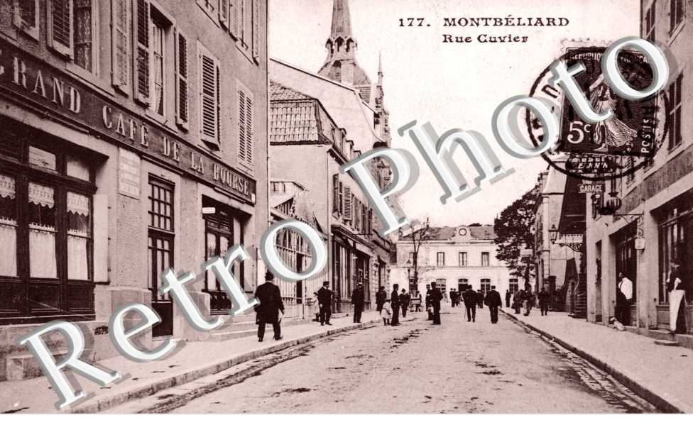 rue cuvier