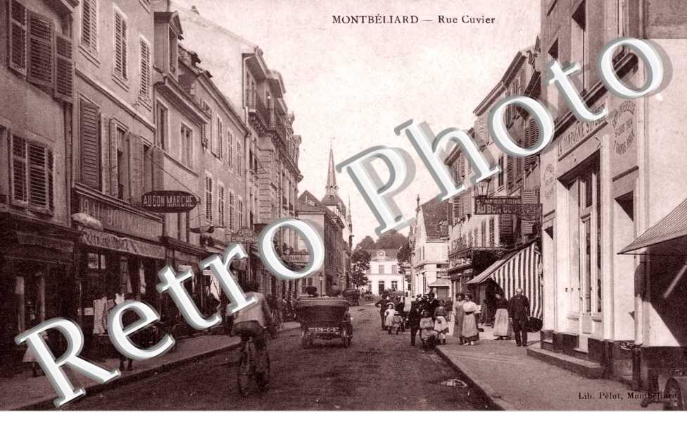 rue cuvier